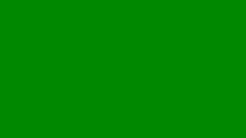 4294