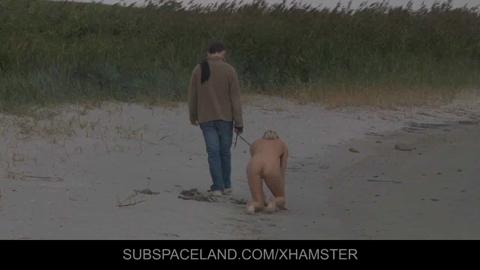 2991